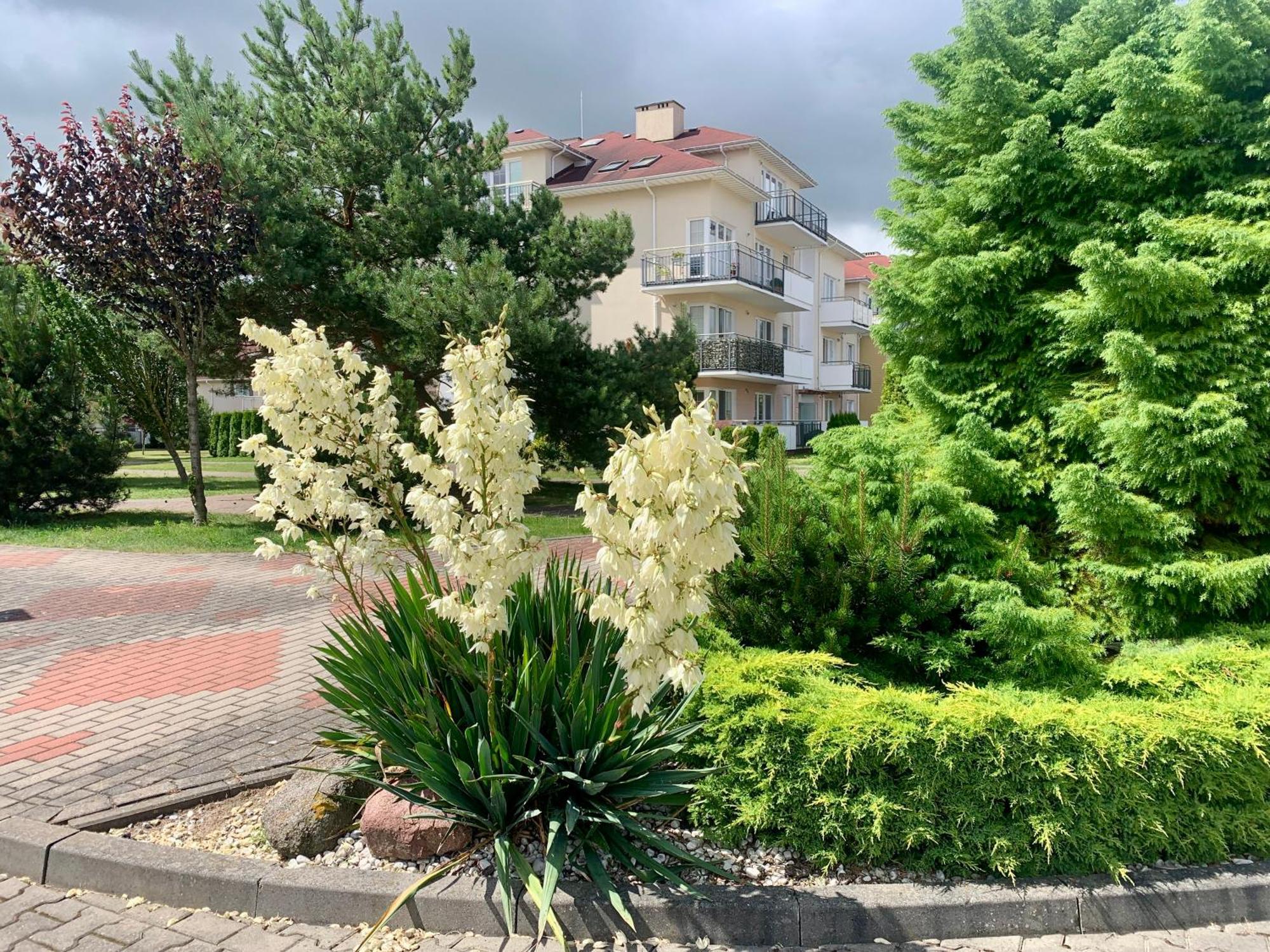 Baltic Apartament Studio Z Ogrodkiem Grzybowo Kolobrzeg Exterior foto